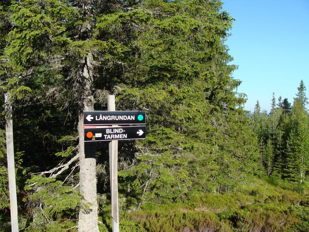 Tomtelandstugan Mora Extérieur photo